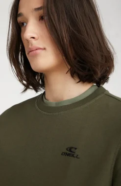 Best O’Neill Sweater O'Neill Small Logo | Forest Night