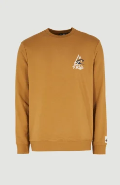 Outlet O’Neill Sweater Torrey Crew | Rich Caramel