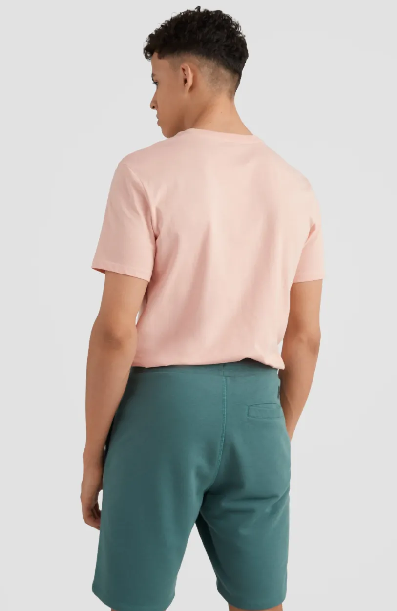 Discount O’Neill Sweatshort O'Neill Logo | Sea Pine