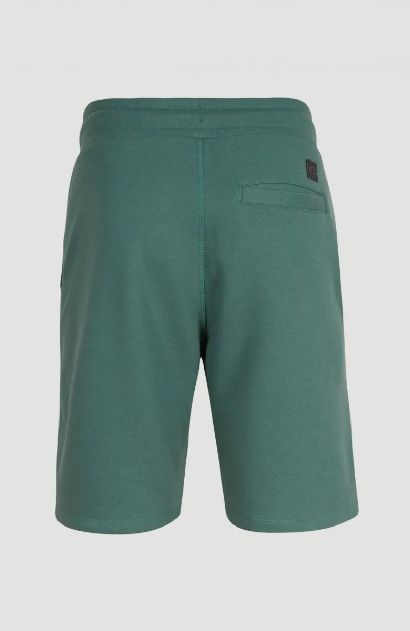 Discount O’Neill Sweatshort O'Neill Logo | Sea Pine