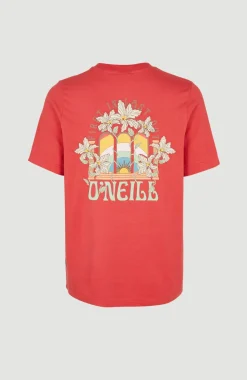 Clearance O’Neill T-shirt Allora Graphic | Red Orcher