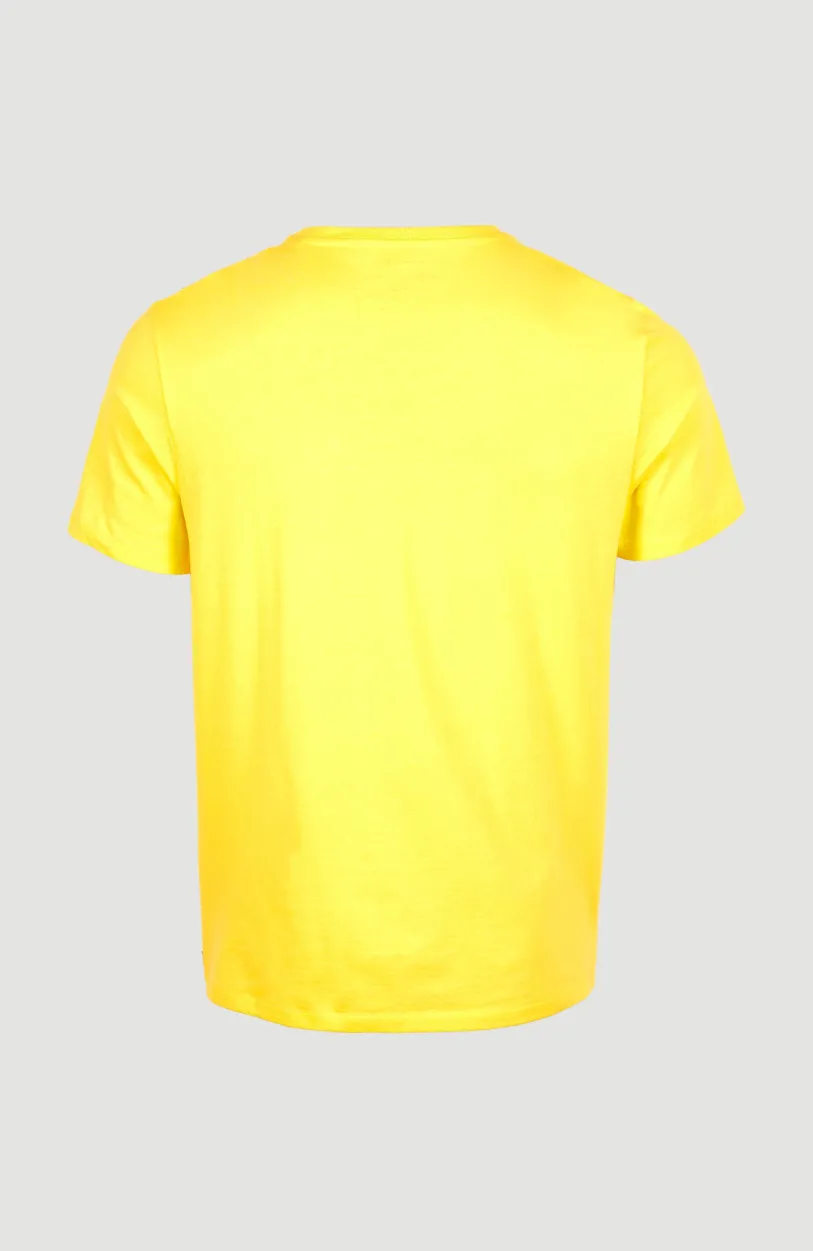 New O’Neill T-shirt Cali Original | Dandelion