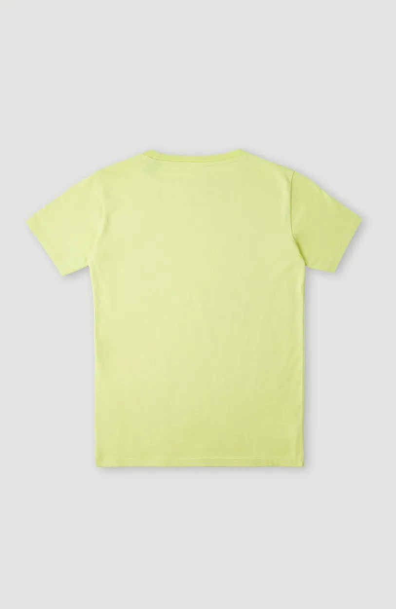 Clearance O’Neill T-shirt Checker | Sunny Lime