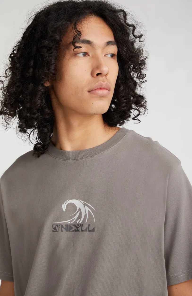 Hot O’Neill T-shirt Dipsea | Flint Stone