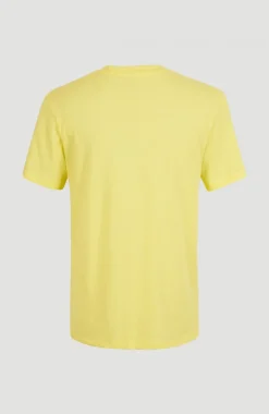 Outlet O’Neill T-shirt Essentials Met V-hals | Sunshine