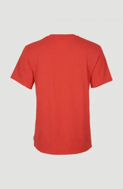 Online O’Neill T-shirt Essentials Met V-hals | Sunrise Red