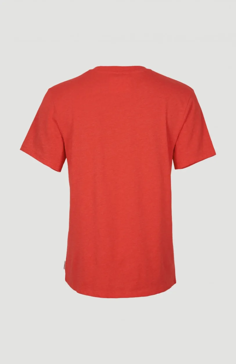Online O’Neill T-shirt Essentials Met V-hals | Sunrise Red