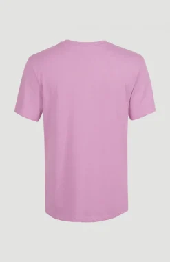 Online O’Neill T-shirt Essentials Met V-hals | Violet Tulle