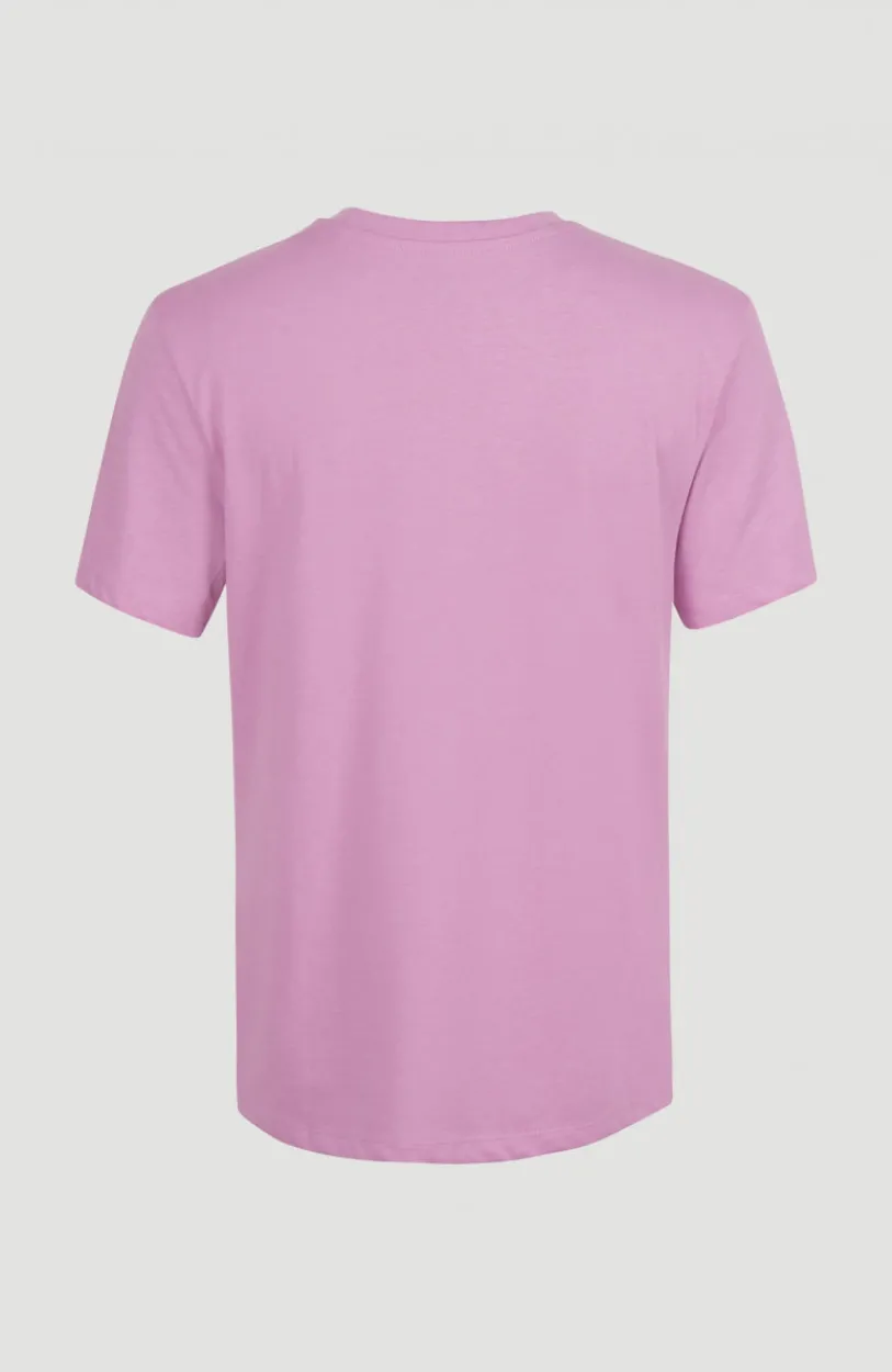 Online O’Neill T-shirt Essentials Met V-hals | Violet Tulle