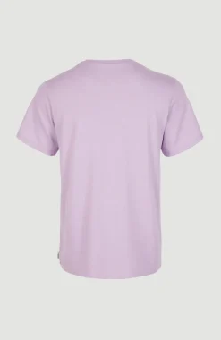 Sale O’Neill T-shirt Essentials Met V-hals | Purple Rose
