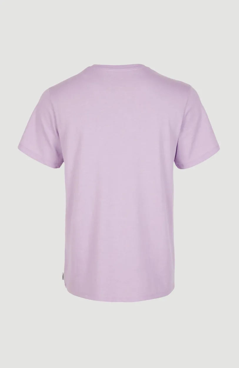 Sale O’Neill T-shirt Essentials Met V-hals | Purple Rose