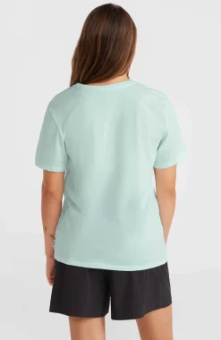 Best O’Neill T-shirt Essentials Met V-hals | Soothing Sea