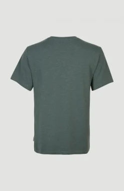 Clearance O’Neill T-shirt Essentials Met V-hals | Balsam Green