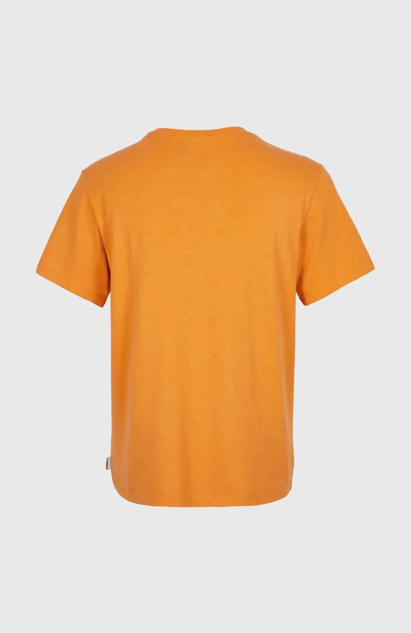 O’Neill T-shirt Essentials Met V-hals | Nugget