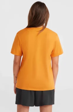 O’Neill T-shirt Essentials Met V-hals | Nugget