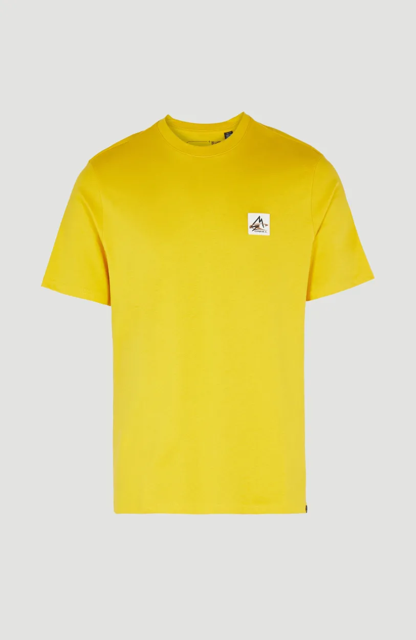 Hot O’Neill T-shirt Hollyridge | Luminous Days
