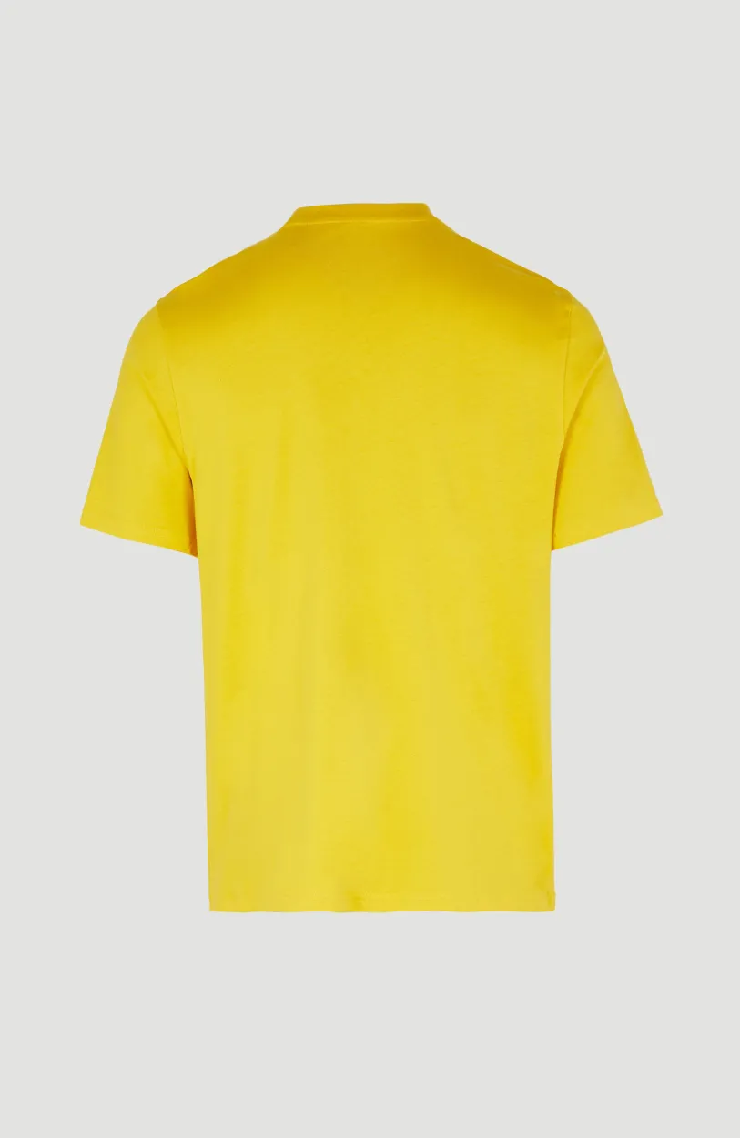 Hot O’Neill T-shirt Hollyridge | Luminous Days