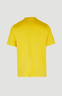 Hot O’Neill T-shirt Hollyridge | Luminous Days