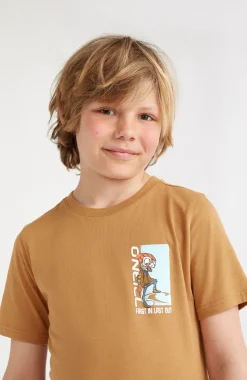 Online O’Neill T-shirt Lizard | Rich Caramel