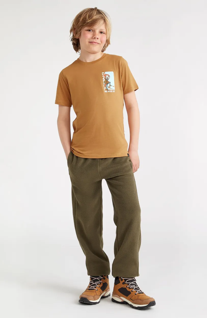 Online O’Neill T-shirt Lizard | Rich Caramel