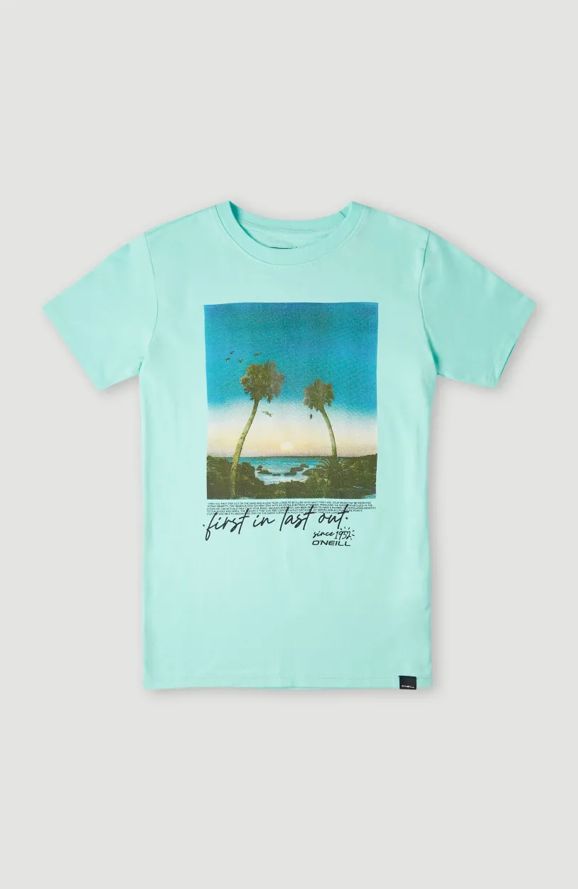 New O’Neill T-shirt Loren | Beach Glass