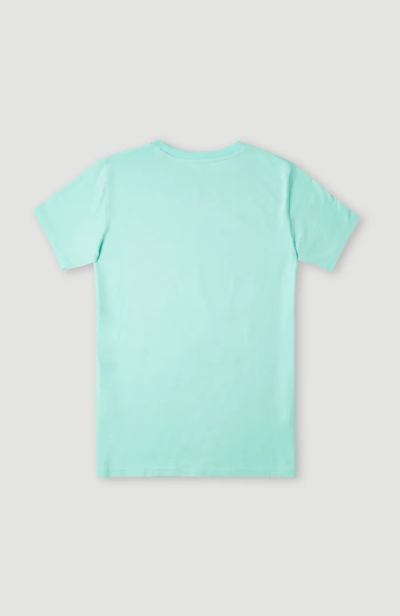 New O’Neill T-shirt Loren | Beach Glass