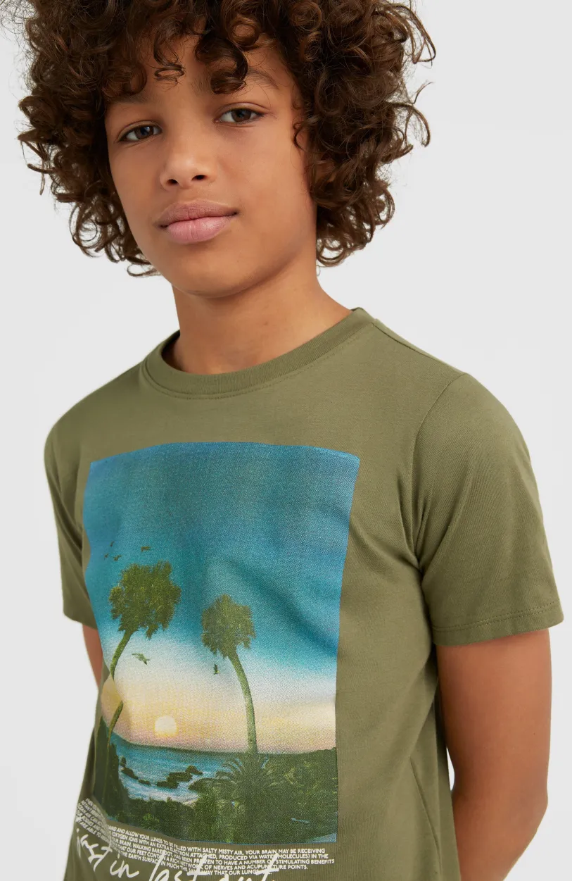 New O’Neill T-shirt Loren | Deep Lichen Green