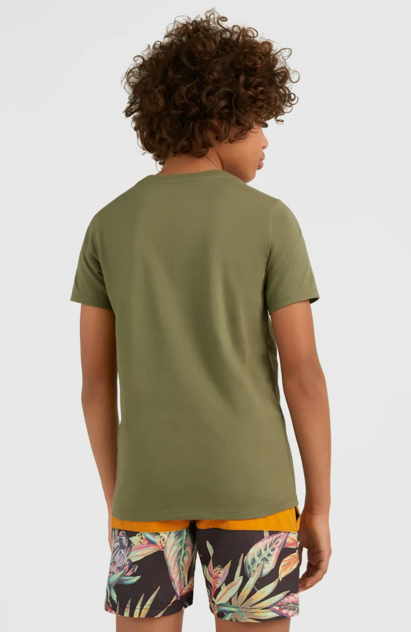 New O’Neill T-shirt Loren | Deep Lichen Green
