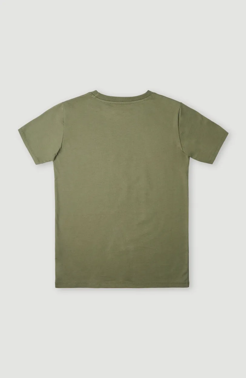 New O’Neill T-shirt Loren | Deep Lichen Green