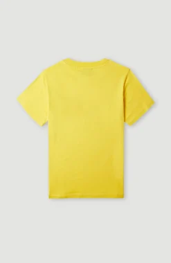 Discount O’Neill T-shirt Sefa Graphic | Dandelion