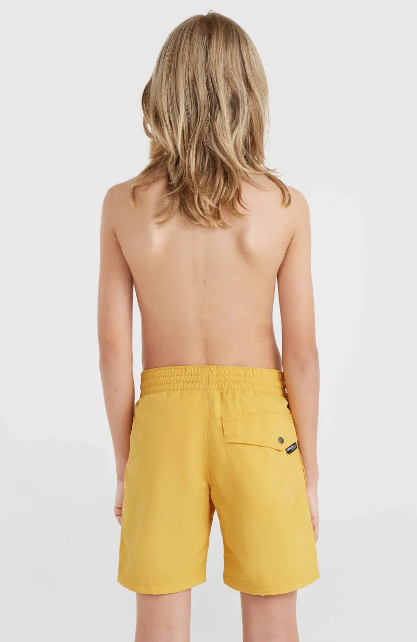Best O’Neill Vert 14" Zwembroek | Golden Haze