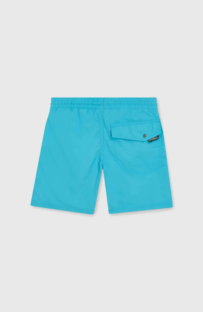 O’Neill Vert 14" Zwembroek | Neon Blue