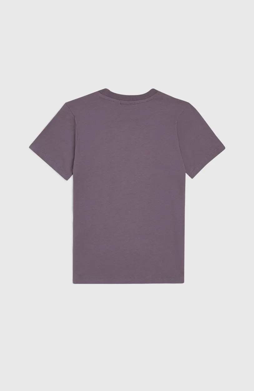 Best O’Neill Women Of The Wave T-shirt | Mauve Miracle