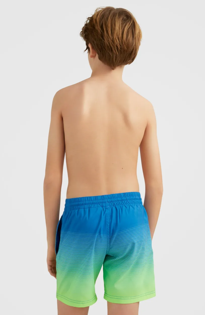 Outlet O’Neill Zwemshort Cali Gradient 14'' | Dark Blue Simple Gradient