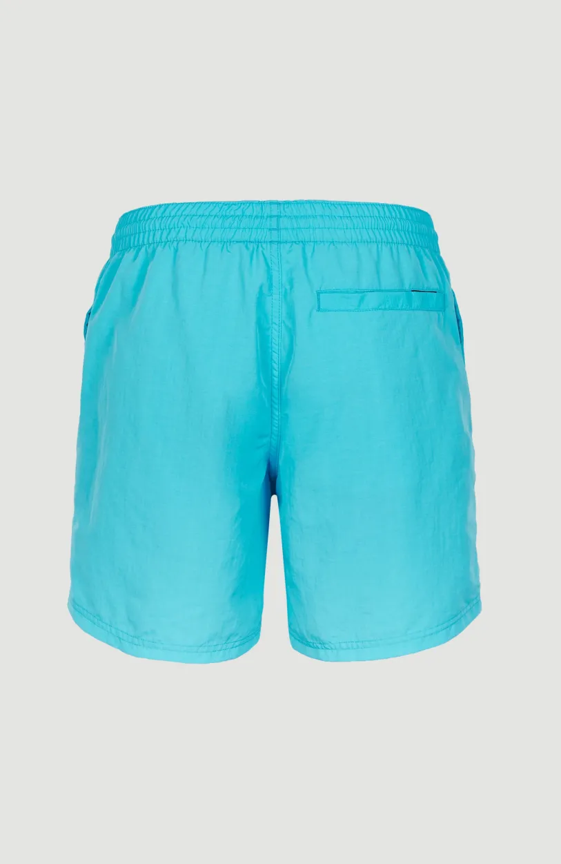 Sale O’Neill Zwemshort Cali Melted Print 16'' | Bachelor Button