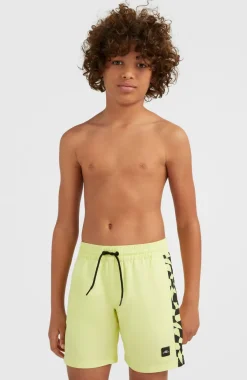 Online O’Neill Zwemshort Cali Panel 14'' | Sunny Lime Colour Block
