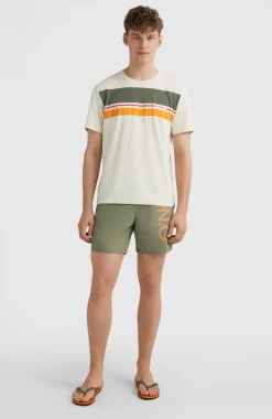 Clearance O’Neill Zwemshort Original Cali 16'' | Deep Lichen Green