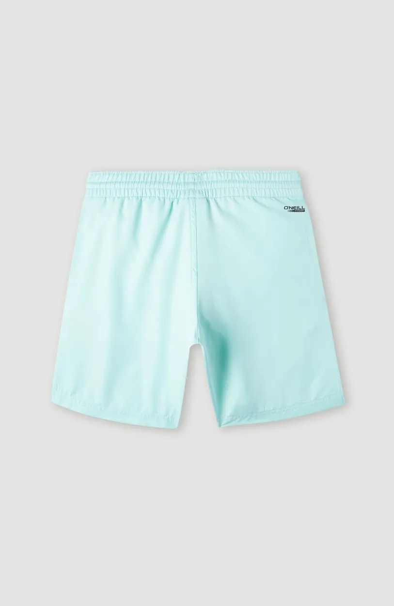 Best O’Neill Zwemshort Original Cali 14 | Beach Glass