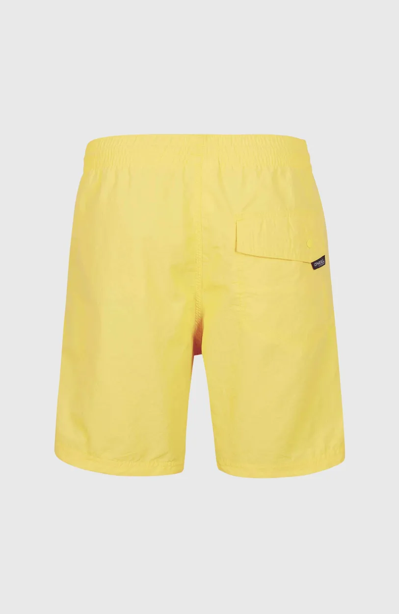 Best O’Neill Zwemshort Vert 16'' | Dandelion