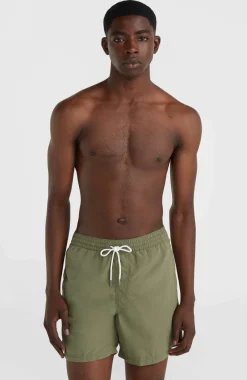 Discount O’Neill Zwemshort Vert 16'' | Deep Lichen Green