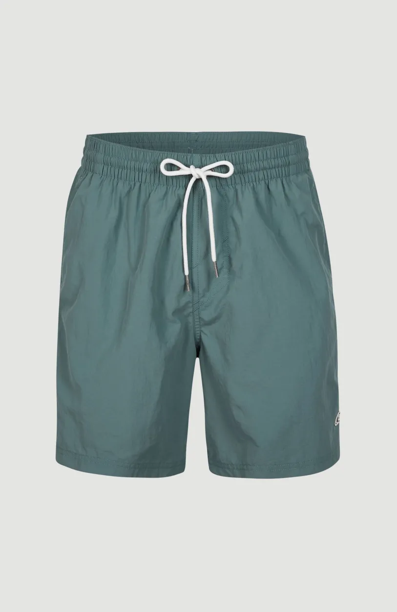 Best O’Neill Zwemshort Vert 16'' | North Atlantic