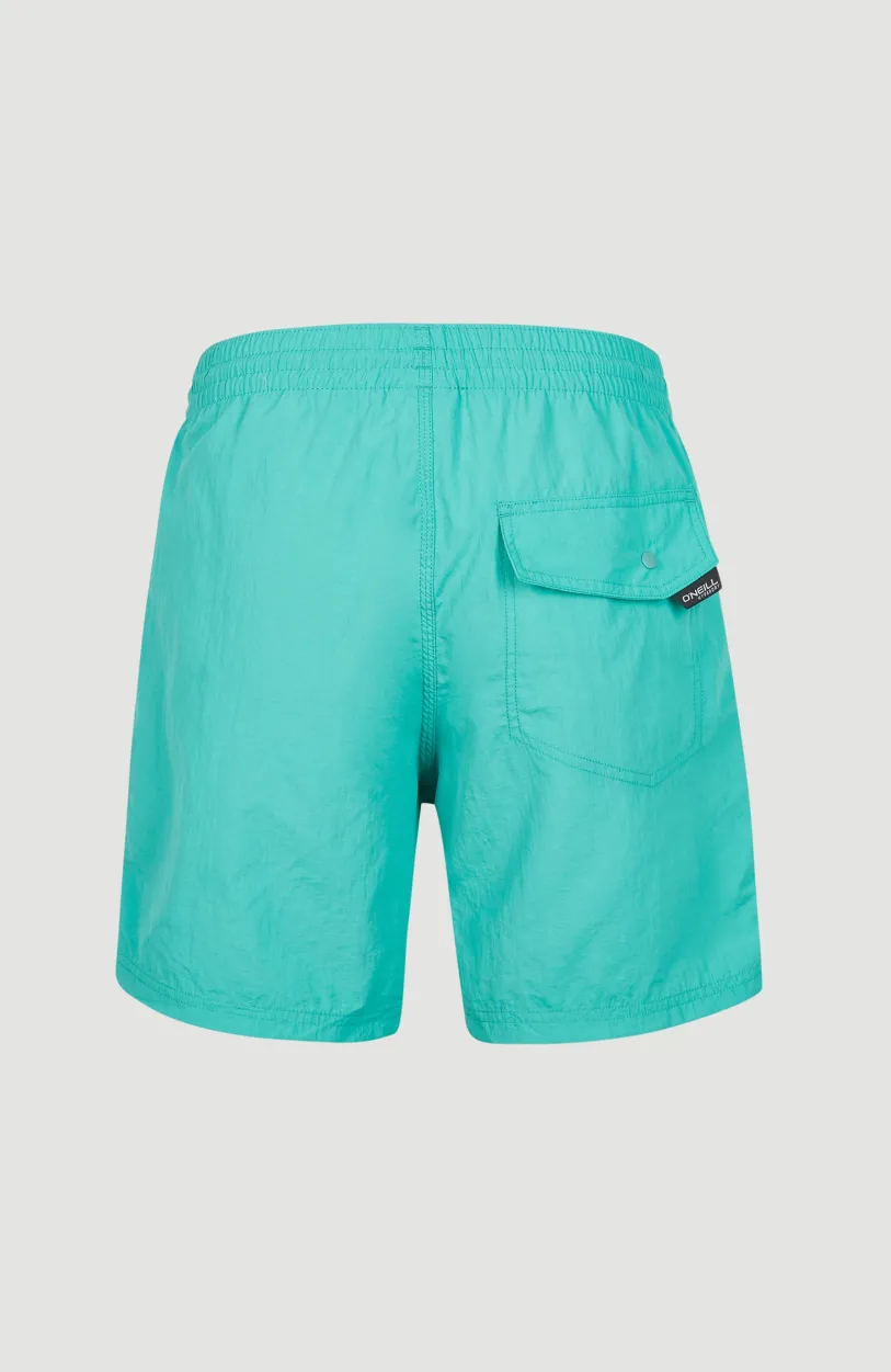 O’Neill Zwemshort Vert 16'' | Sea Green
